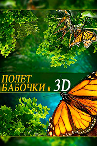 Полет бабочки 3D