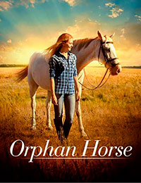 Orphan Horse